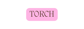 TORCH